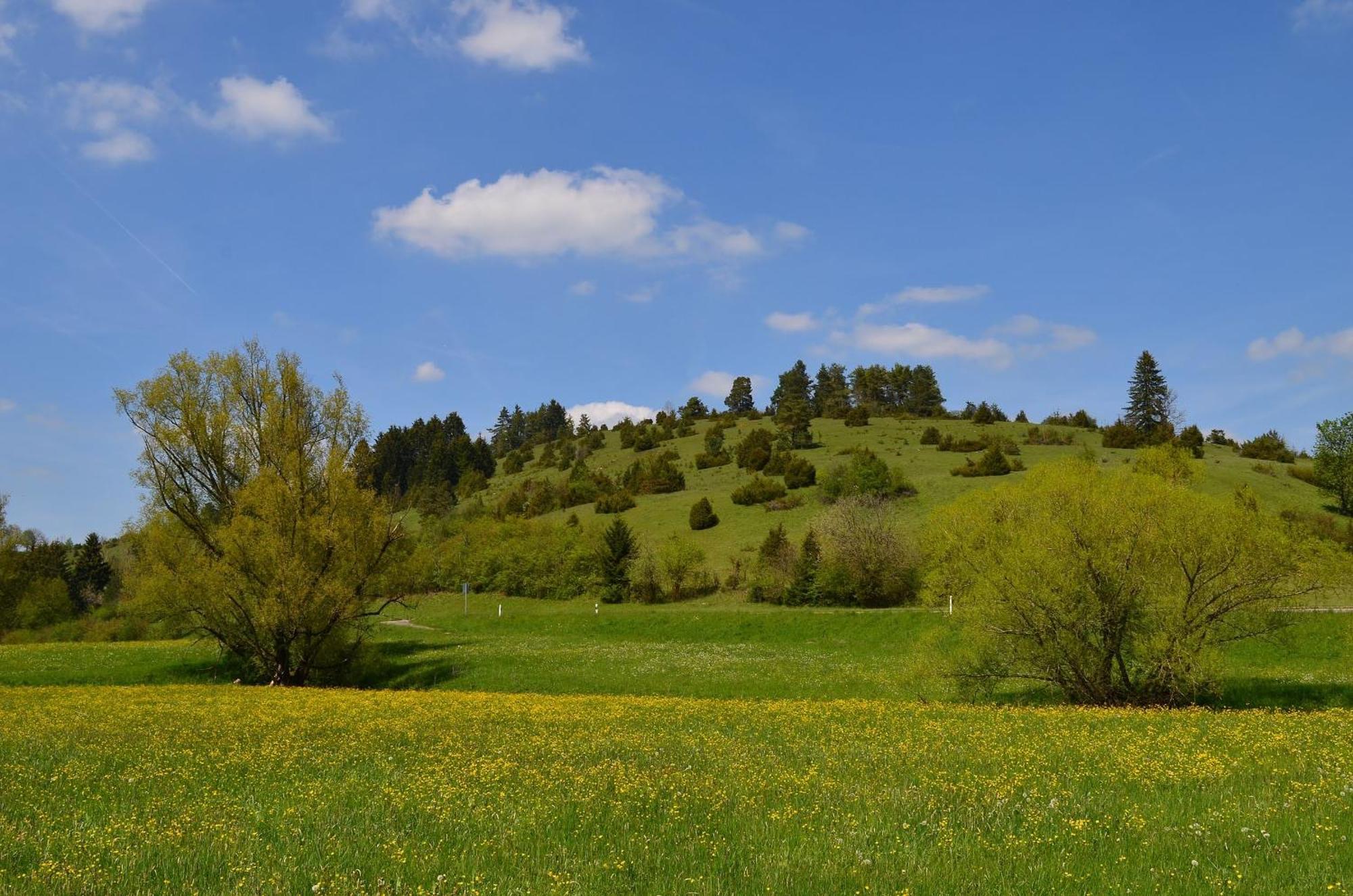 Casa Wiesenblick เนือร์ทิงเงิน ภายนอก รูปภาพ